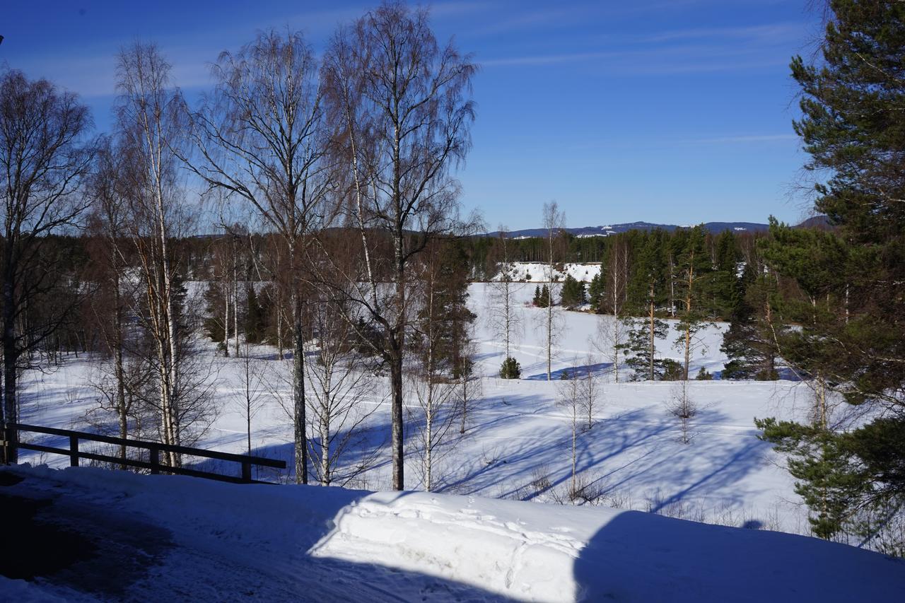 Borrgarden Hostel Ljusdal Kültér fotó